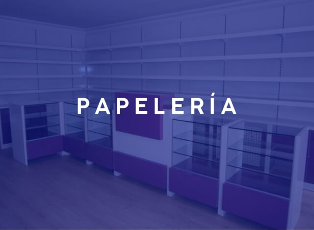 Papelerías::Descubre nuestra variedad de muebles: vitrina cajonera, estanterías, muebles para cartulinas, biografías, papel extendido y más. ¡Todo lo que necesitas! Papelerías