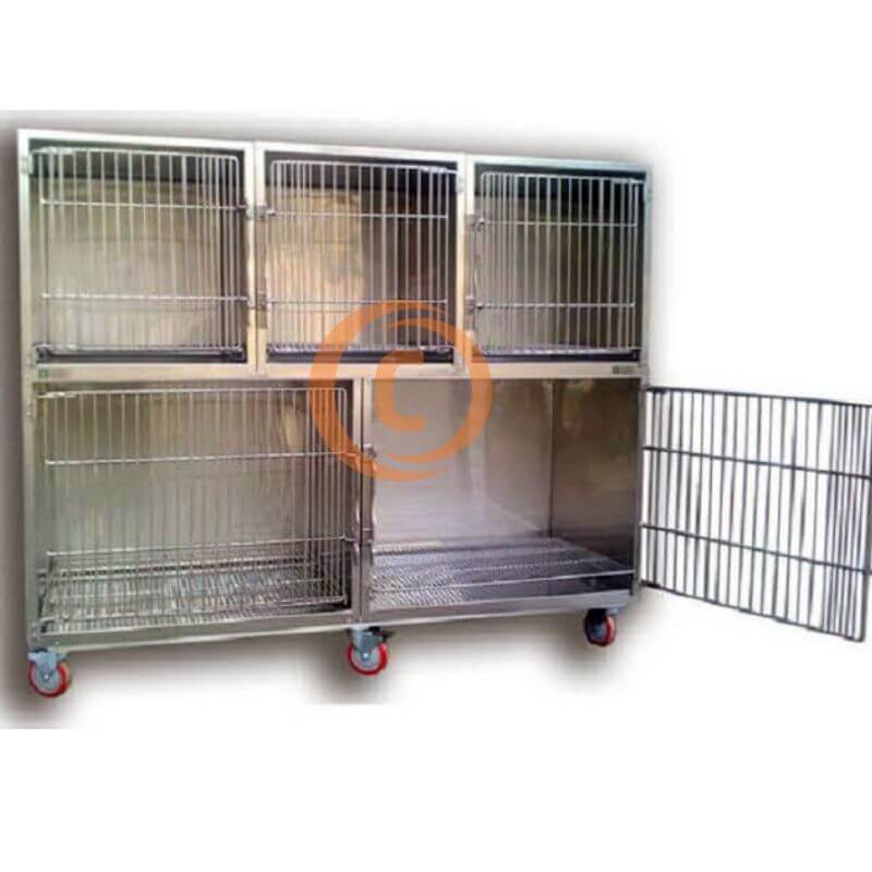 veterinaria-04.jpg